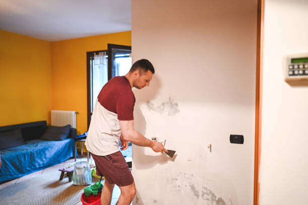 Attic Mold Removal in Erath, LA